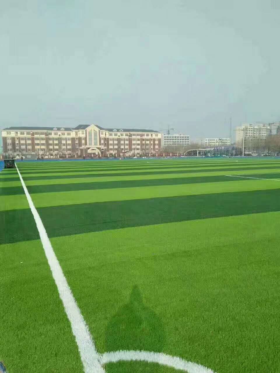 抚顺市塑胶跑道材料仿真草坪 - 价格